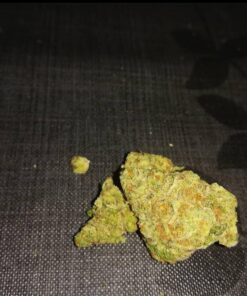 Buy Mimosa Marijuana Strain