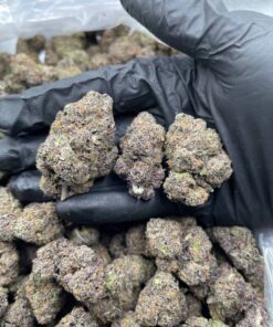 BUY BLACK RUNTZ IN UK